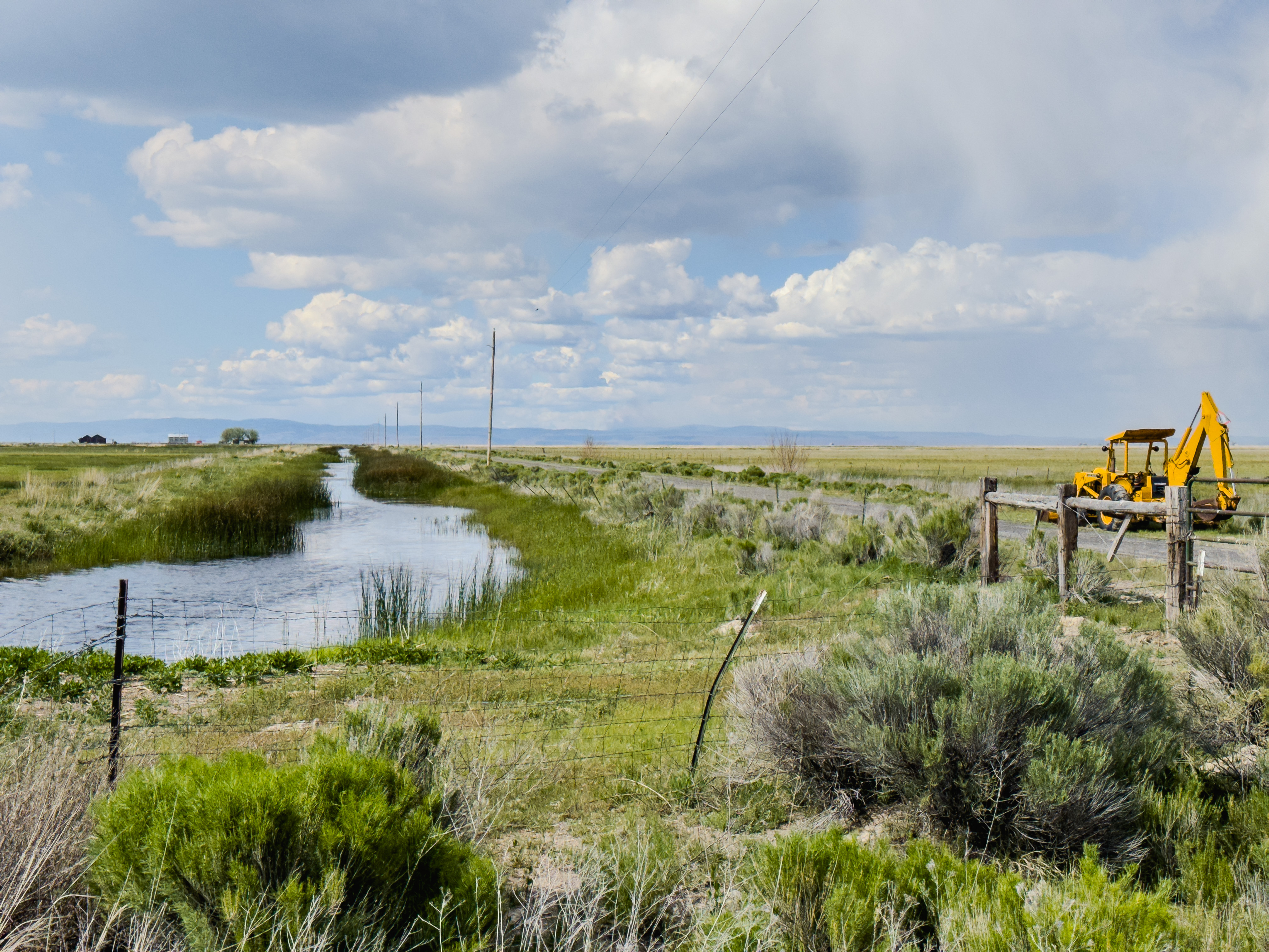 Lawen Road Canal (May 20, 2024)