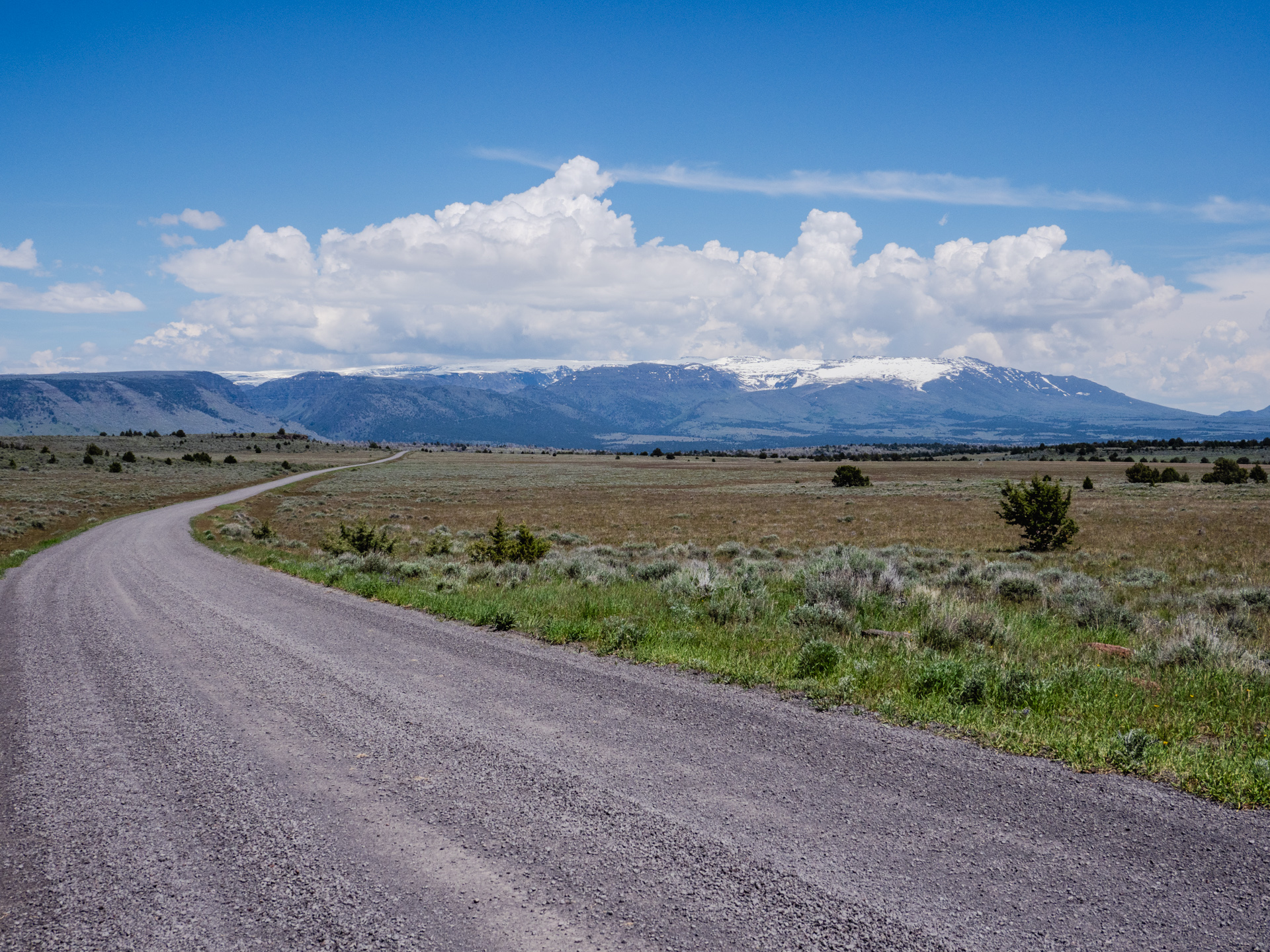 Steens Mt Rd (June 3, 2019)